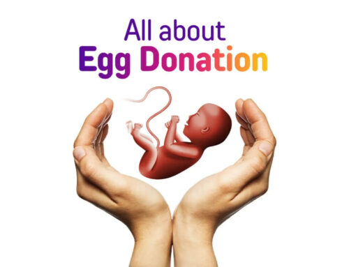 🥚 Best Egg Donation Clinics in Warangal: Your Guide to Choosing Exceptional Fertility Care