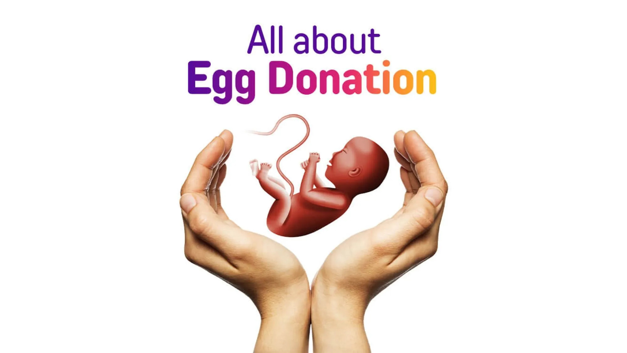 Egg Donation