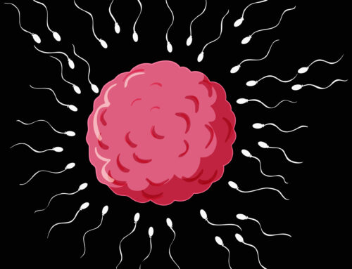 Reproductive Clinic Warangal: Advanced Fertility Care for Your Parenthood Journey