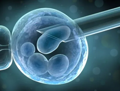 Best Egg Donation Clinic Warangal – A Trusted Path to Parenthood